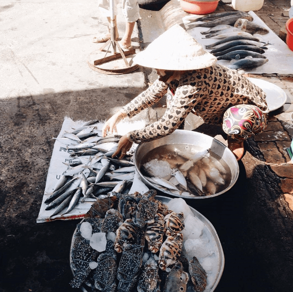 kinh nghiệm du lịch hồ tràm