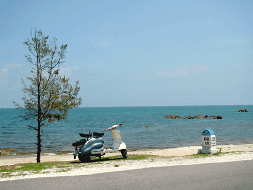 kinh nghiệm du lịch hồ tràm