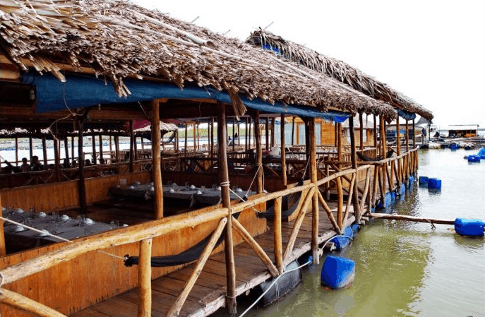 kinh nghiệm du lịch hồ tràm